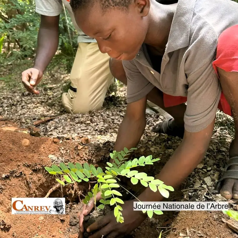 Lire la suite à propos de l’article Journée de l’Arbre avec CANREV & le Palais de Lomé