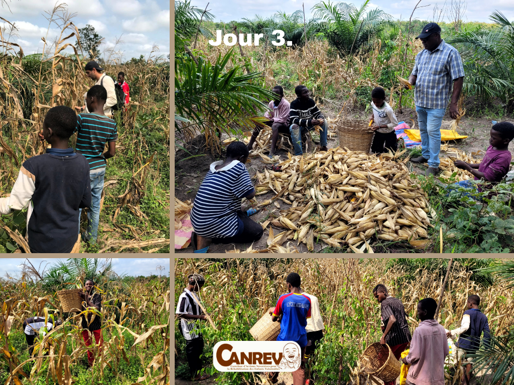 Lire la suite à propos de l’article 🌟 Camp chantier CANREV – Jours 1 & 2 (18-19 août 2025) 🌟